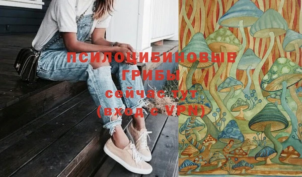 соль ск Белоозёрский